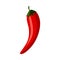 Ripe raw red chili peppers icon. Red healthy food