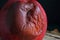 RIPE RED APPLE WITH SPOILAGE AND A LESION IN THE SKIN WITH GROWING MOULD