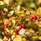 Ripe and red barberries Berberis thunbergii Atropurpurea in the autumn shrubs with fruits