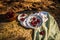 Ripe red cherries in antique blue and white bowl with silver spoon