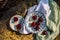 Ripe red cherries in antique blue and white bowl with silver spoon