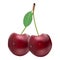 Ripe Red Cherries. Twin Berries With A Leaf Isolated On A White Background.