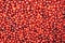 Ripe red cranberry background top view