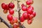 Ripe red currants close-up with blurred background