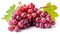Ripe red grape. Pink bunch with leaves isolated on white. With clipping path. Full depth of field, generative ai