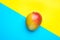 Ripe Red Green Mango on Split Duotone Yellow Blue Diagonal Background. Styled Creative Image. Tropical Fruits Vacation Summer