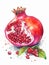 Ripe Red Pomegranate with Leaves Isolated on White Background. Watercolour illustration. Generative AI.