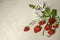 Ripe red strawberries with a bouquet of field herbs