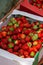 Ripe red strawberries in a Cardboard