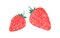 Ripe red strawberries vector flat illustration. Hand drawn fresh sweet berries isolated on white background. Organic