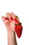 Ripe red strawberry in a beautiful female hand.