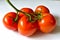 Ripe red tomatoes on a branch on a white background