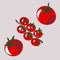 Ripe red tomatoes, cherry tomatoes. Vegetables. Veganism, vegetarianism, raw food diet, proper nutrition. Vector isolated
