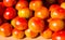 Ripe red tomatoes perfect vegetables