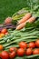 Ripe red tomatoes in selective focus with fresh vegetables