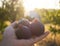 Ripe Royal figs Ficus carica at sunset in a woman`s hand in Greece