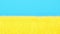 Ripe rye in field under blue sky turns to Ukrainian flag