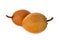 Ripe sapodilla fruit with stem on white