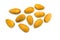 Ripe shelled almond seeds  on white background.