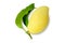 Ripe single mango isolated on white background.