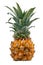 Ripe small pineapple