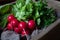 Ripe spring bunch of radishes healthy natural vegetables