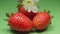 Ripe strawberries. Close-up video. Harvest ripe berries. 4K video.