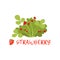 Ripe strawberry berry bush with name vector Illustration