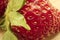 Ripe strawberry fruit. Macro image. Studio shot