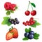 Ripe strawberry, raspberry, cherry, blackberry, black and red cu