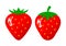 Ripe strawberry vector icon