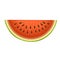 Ripe striped watermelon realistic juicy vector illustration slice green isolated ripe melon.