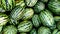 Ripe striped watermelons seamless background