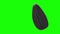 Ripe sunflower black seed on green chromakey background. Mock-up template. Spinning around. Detailed 3d animation 4K