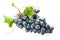 Ripe sweet grapes on white background