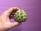 Ripe sweetsop fruit