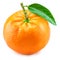 Ripe tangerine fruit with green leaf isolated on a white background. Organic tangerines fruits