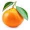 Ripe tangerine fruit with green leaves isolated on a white background. Organic tangerines fruits