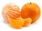 Ripe tangerine fruits with and mandarin slices on white background