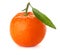 Ripe tangerine with green leaf