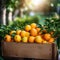 Ripe tangerines and oranges in a wooden box