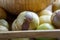 Ripe tomatillo Mexican husk tomato, Physalis philadelphica, Vegetable physalis in wooden tray on white table