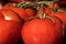 Ripe Tomato Fruits