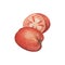 Ripe tomato whole and half cut. Juicy red tomato watercolor painting on white background.