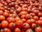 Ripe tomatoes at the farmers market.