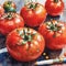 Ripe Tomatoes Watercolor Painting