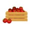 Ripe Tomatoes in Wooden Crate as Product Harvesting for Ketchup Manufacturing Vector Illustration