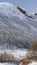 Ripe trees in Valldola river valley on Trollstigen route in snow in Norway