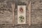 Ripe and unripe tomatoes on wooden table