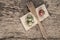 Ripe and unripe tomatoes on wooden table